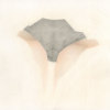 falling_bonus_rgs