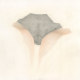 falling_bonus_rgs