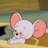 老牛处血溅芳草