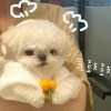 村口婆婆??