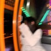 開心小狗