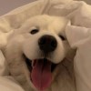 喜歡聽音樂の人ദ്ദി^._.^)