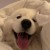 喜歡聽音樂の人ദ്ദി^._.^)