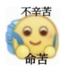 茄汁小苦瓜