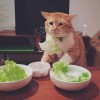 这样都能被你发现你是不是喜欢我 