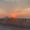 明月树荫下的枕头