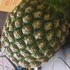 香菇貢丸