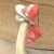 flam0249
