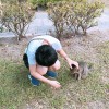 fb00036271