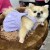 Dooly