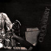 fender