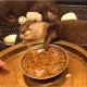 Mochi