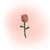 yoshan