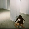 Chih Yu