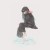 fish_yu22