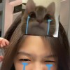 fishan333