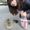 劉小魚