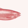 iiru0