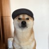 Benny 1020