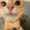 fjwkmrgnqj