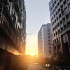 白開水