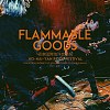 Flammable goods 易燃物