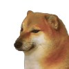 Llaaico
