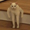 下學期上課絕對不睡覺