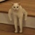 下學期上課絕對不睡覺