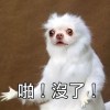 TW_DGB