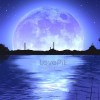forever_star