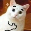Jeff