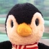 PenguinKing