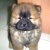 Freddy_Tsai