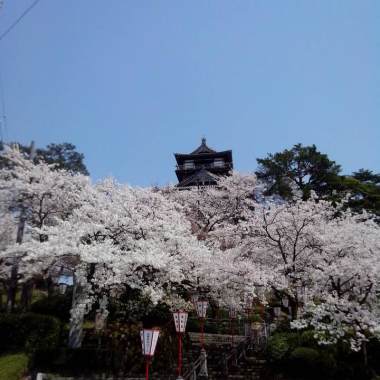 懶惰/北區