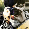 JZ_DESIHN