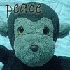 funny 2 tha beatz