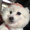 老沈