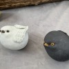 吸猫fu