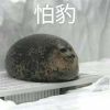 多多綠
