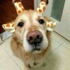 ga_wun