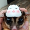 蜜蜜的阿母