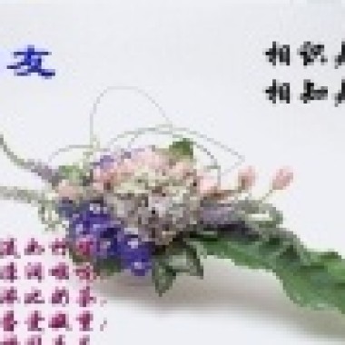 醉美天下