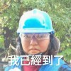 裸體南瓜