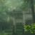 柝