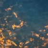 geslin_719