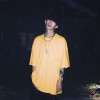 Giga Liu