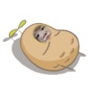 ㄓˇ