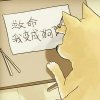阿蘇伸懶腰
