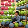 范范